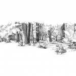 Illustrations jardins nantais - Cimetière parc - Sous bois